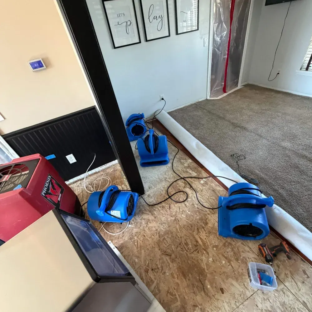IICRC certified drying setup in Ripley County, IN