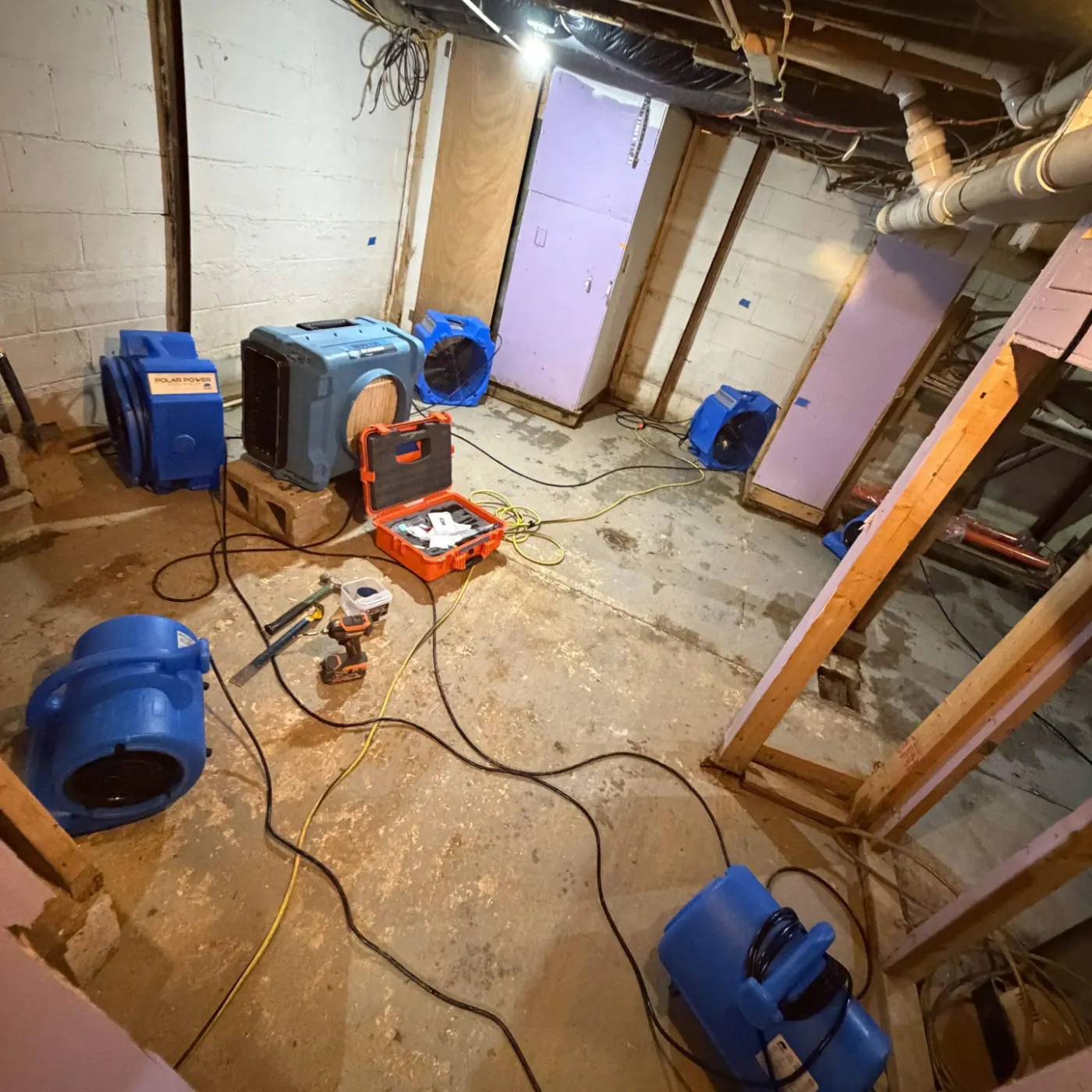 IICRC certified drying setup in Ripley County, IN